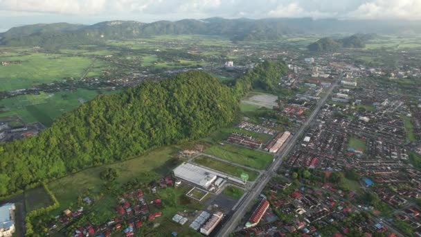 Paddy Rice Fields Kedah Perlis Malaysia — 비디오