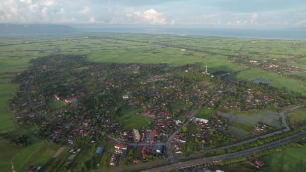 Pola Ryżowe Paddy Kedah Perlis Malezja — Wideo stockowe