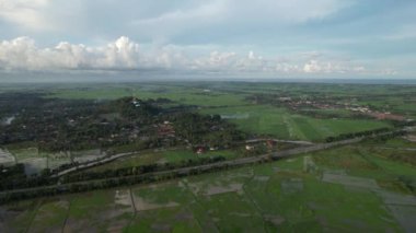 Kedah ve Perlis 'in Paddy Rice Tarlaları, Malezya