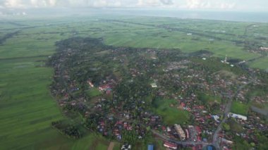 Kedah ve Perlis 'in Paddy Rice Tarlaları, Malezya