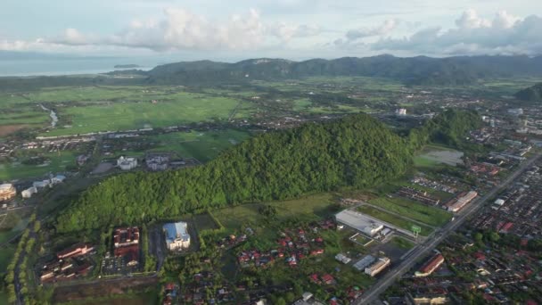 Paddy Rice Fields Kedah Perlis Malaysia — 비디오