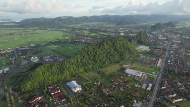 Paddy Rice Fields Kedah Perlis Malaysia — 비디오