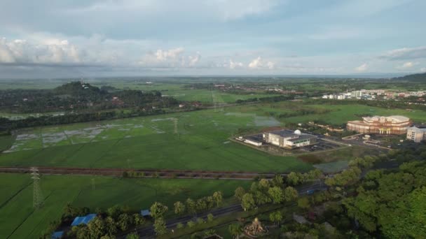 Paddy Rice Fields Kedah Perlis Malaysia — Vídeo de Stock