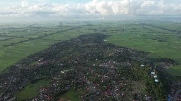 Rijstvelden Van Kedah Perlis Maleisië — Stockvideo