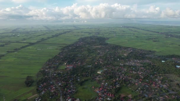 Paddy Rice Fields Kedah Perlis Malaysia — Vídeos de Stock