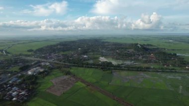 Kedah ve Perlis 'in Paddy Rice Tarlaları, Malezya