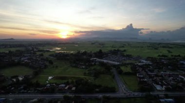 Kedah ve Perlis 'in Paddy Rice Tarlaları, Malezya