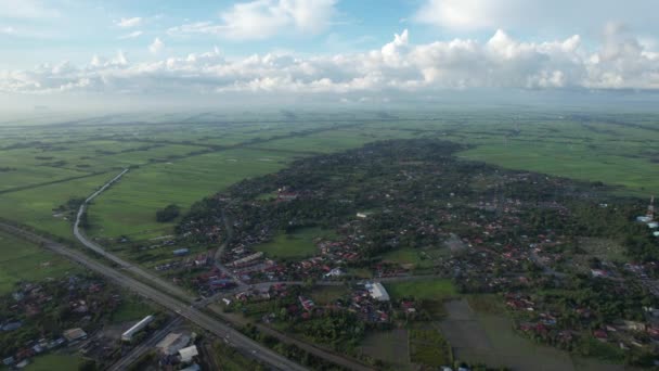 Kedah Perlis Paddy Rice Tarlaları Malezya — Stok video