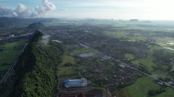 Paddy Rice Fields Kedah Perlis Malaysia — Vídeo de Stock