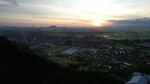 Paddy Rice Fields Kedah Perlis Μαλαισία — Αρχείο Βίντεο