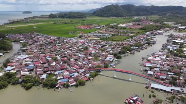 Campos Arroz Paddy Kedah Perlis Malásia — Vídeo de Stock