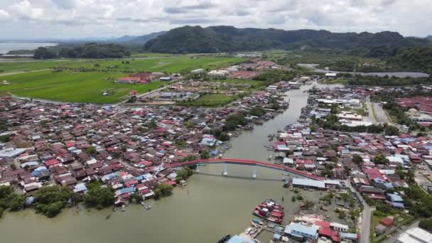 Pola Ryżowe Paddy Kedah Perlis Malezja — Wideo stockowe