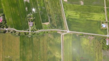 Kedah ve Perlis 'in Paddy Rice Tarlaları, Malezya