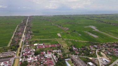 Kedah ve Perlis 'in Paddy Rice Tarlaları, Malezya