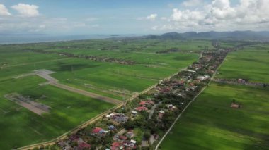 Kedah ve Perlis 'in Paddy Rice Tarlaları, Malezya