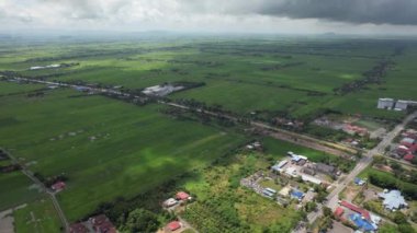 Kedah ve Perlis 'in Paddy Rice Tarlaları, Malezya