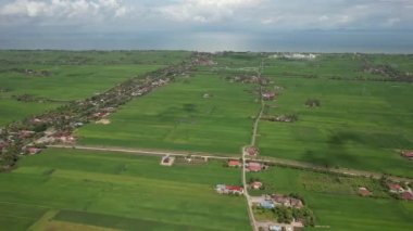 Kedah ve Perlis 'in Paddy Rice Tarlaları, Malezya