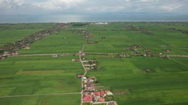 Kedah ve Perlis 'in Paddy Rice Tarlaları, Malezya