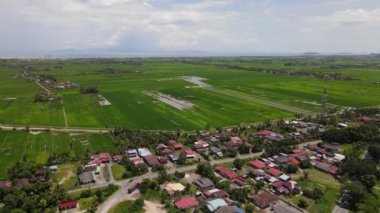 Kedah ve Perlis 'in Paddy Rice Tarlaları, Malezya