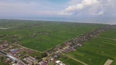 Kedah ve Perlis 'in Paddy Rice Tarlaları, Malezya