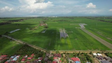 Kedah ve Perlis 'in Paddy Rice Tarlaları, Malezya