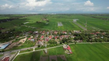 Kedah ve Perlis 'in Paddy Rice Tarlaları, Malezya