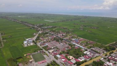 Kedah ve Perlis 'in Paddy Rice Tarlaları, Malezya