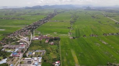 Kedah ve Perlis 'in Paddy Rice Tarlaları, Malezya