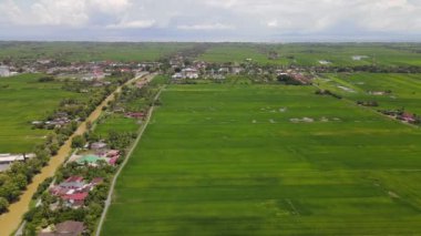 Kedah ve Perlis 'in Paddy Rice Tarlaları, Malezya