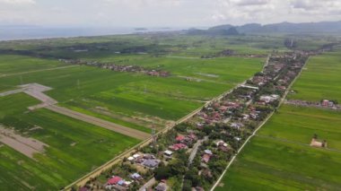 Kedah ve Perlis 'in Paddy Rice Tarlaları, Malezya