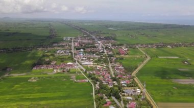 Kedah ve Perlis 'in Paddy Rice Tarlaları, Malezya