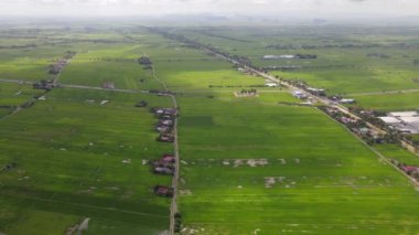 Kedah ve Perlis 'in Paddy Rice Tarlaları, Malezya