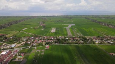 Kedah ve Perlis 'in Paddy Rice Tarlaları, Malezya