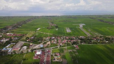 Kedah ve Perlis 'in Paddy Rice Tarlaları, Malezya