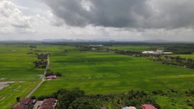 Kedah ve Perlis 'in Paddy Rice Tarlaları, Malezya