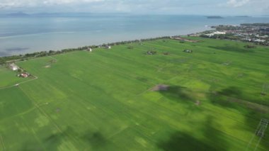 Kedah ve Perlis 'in Paddy Rice Tarlaları, Malezya