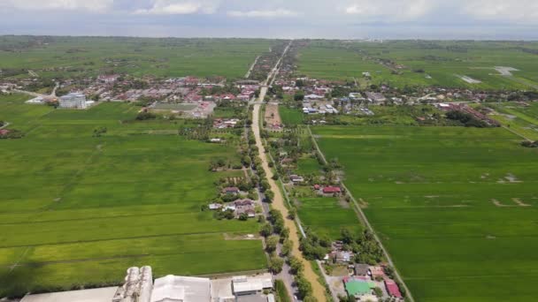 Pola Ryżowe Paddy Kedah Perlis Malezja — Wideo stockowe