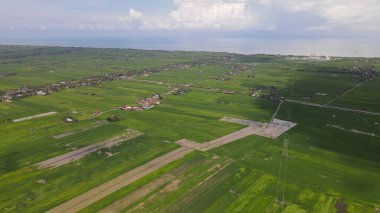 Kedah ve Perlis 'in Paddy Rice Tarlaları, Malezya
