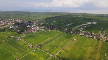 Kedah ve Perlis 'in Paddy Rice Tarlaları, Malezya