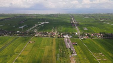 Kedah ve Perlis 'in Paddy Rice Tarlaları, Malezya