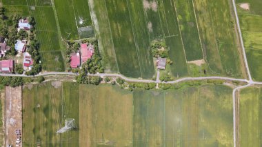 Kedah ve Perlis 'in Paddy Rice Tarlaları, Malezya