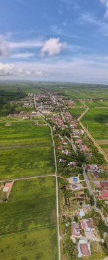 Kedah ve Perlis 'in Paddy Rice Tarlaları, Malezya