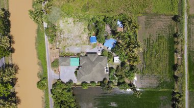 Kedah ve Perlis 'in Paddy Rice Tarlaları, Malezya