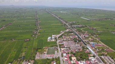 Kedah ve Perlis 'in Paddy Rice Tarlaları, Malezya