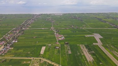 Kedah ve Perlis 'in Paddy Rice Tarlaları, Malezya