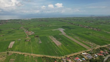 Kedah ve Perlis 'in Paddy Rice Tarlaları, Malezya