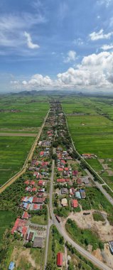 Kedah ve Perlis 'in Paddy Rice Tarlaları, Malezya