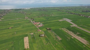 Kedah ve Perlis 'in Paddy Rice Tarlaları, Malezya