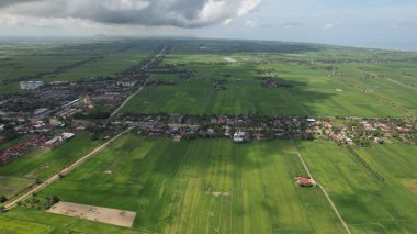 Kedah ve Perlis 'in Paddy Rice Tarlaları, Malezya
