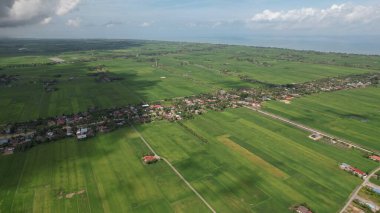 Kedah ve Perlis 'in Paddy Rice Tarlaları, Malezya